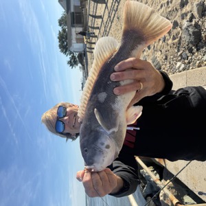 11154 2025-11-07-1682