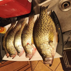 11161 2025-11-09-192