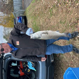 11162 2025-11-14-2065