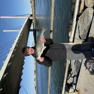 11167 2025-11-14-2409