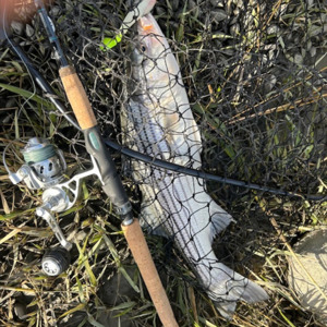 11173 2025-11-23-2065