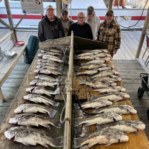 11174 2025-11-23-282