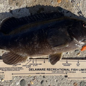 11177 2025-11-26-2160