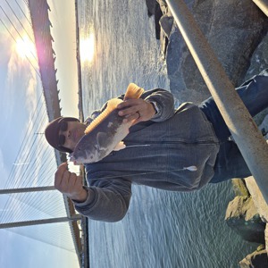 11180 2025-11-29-2401