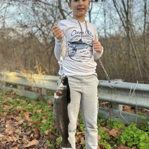 11181 2025-11-22-589