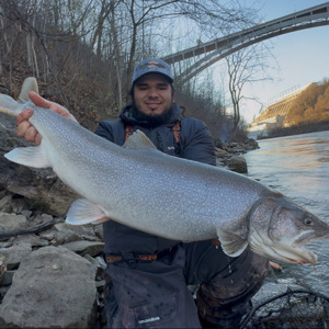 11186 2025-12-01-2411