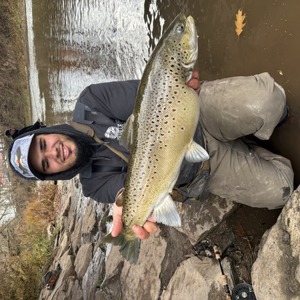 11188 2025-12-03-2411