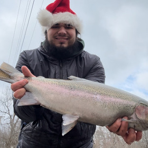 11193 2025-12-25-2411