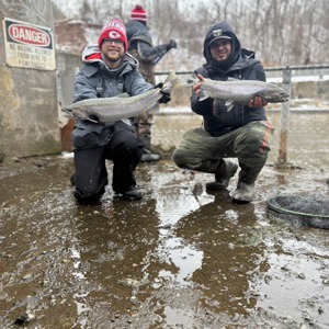 11195 2025-12-31-2411