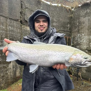 11203 2026-01-11-2411