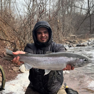 11222 2026-03-03-2411