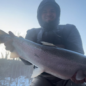 11223 2026-03-07-2411