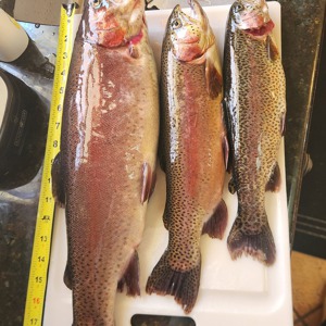 11230 2026-03-28-192