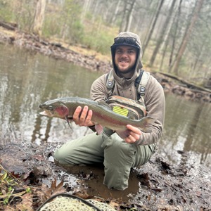 11246 2026-04-04-1504