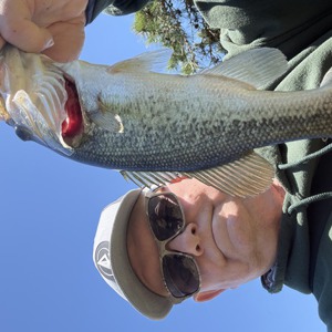 11248 2026-04-06-1336