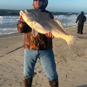 11254 2026-04-06-259