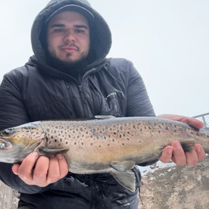 11269 2026-03-02-2411