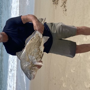 11273 2026-04-14-2435