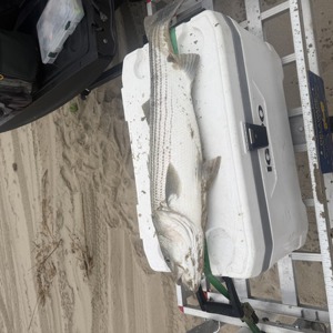 11283 2026-04-18-1682