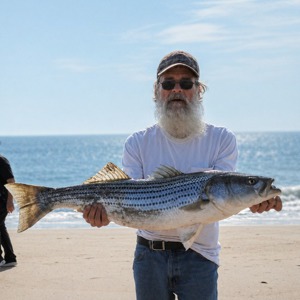 11303 2026-04-24-1699