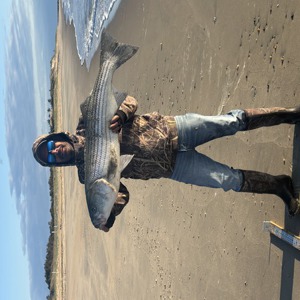 Image #11320 from GreatAnglers.com