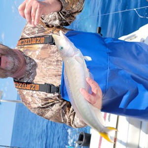 Image #11342 from GreatAnglers.com