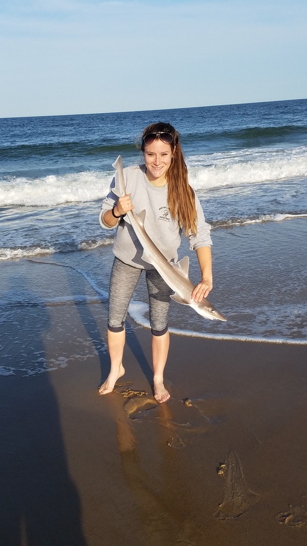 1140 Dogfish Shark 05/21/18 6:40pm 1140 Dogfish Shark 05/21/18 6:40pm