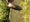 11401 Largemouth Bass 06/04/26 1:50pm