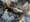 11403 Smallmouth Bass 06/04/26 9:28pm
