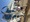 11407 Thresher Shark 06/05/26 6:46pm
