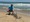 11451 Hammerhead Shark 06/02/26 1:00pm 11451 Hammerhead Shark 06/02/26 1:00pm