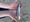 11475 Kingfish 06/21/26 8:41pm 11475 Kingfish 06/21/26 8:41pm