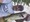 11483 Largemouth Bass 06/27/26 8:12pm