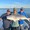 11486 Red Drum 06/28/26 5:15am