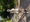 11488 Largemouth Bass 06/24/26 6:48pm