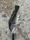 11524 Tautog 07/12/26 7:12am