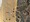 11539 Kingfish 07/13/26 6:18am 11539 Kingfish 07/13/26 6:18am