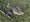 11544 Flounder 07/24/26 7:25pm