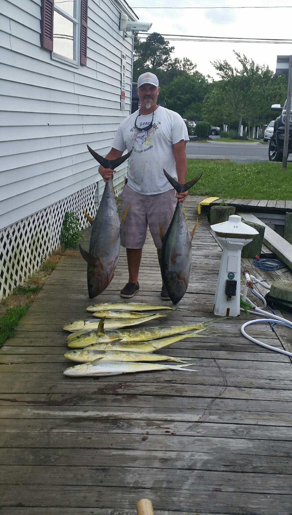 1155 Yellowfin Tuna 06/26/18 9:35pm 1155 Yellowfin Tuna 06/26/18 9:35pm