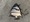 11558 Atlantic Spadefish 07/28/26 5:01pm