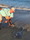 11561 Bluntnose sting ray 07/30/26 10:27am 11561 Bluntnose sting ray 07/30/26 10:27am
