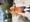 11572 Saltwater Catfish 07/31/26 12:12pm 11572 Saltwater Catfish 07/31/26 12:12pm