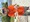 11573 Needlefish 08/01/26 4:02pm 11573 Needlefish 08/01/26 4:02pm