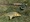 11591 Carp 08/09/26 3:11pm