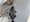 11599 Jack 08/09/26 10:48am