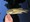 11601 Largemouth Bass 08/13/26 8:23pm