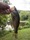 11603 Largemouth Bass 08/14/26 7:45pm