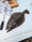 11606 Flounder 08/05/26 11:32am