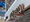 11617 Mangrove Snapper 08/16/26 5:23pm 11617 Mangrove Snapper 08/16/26 5:23pm