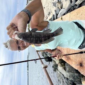 Image #11620 from GreatAnglers.com